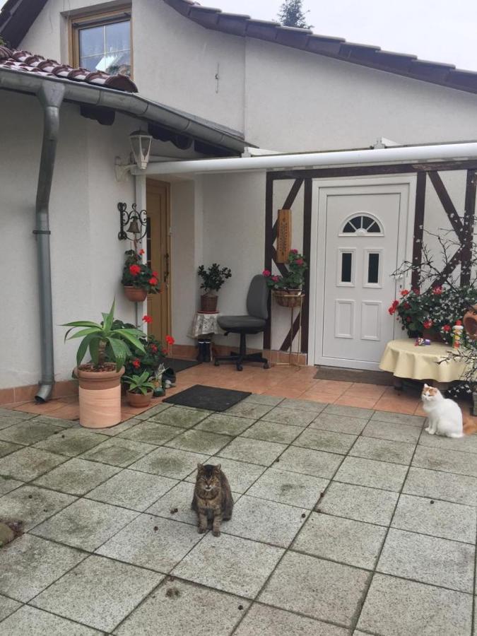 NeutrebbinKleines Haus Im Oderbruch公寓 外观 照片