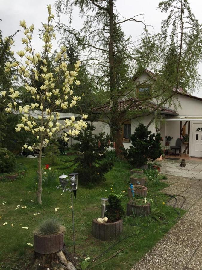 NeutrebbinKleines Haus Im Oderbruch公寓 外观 照片