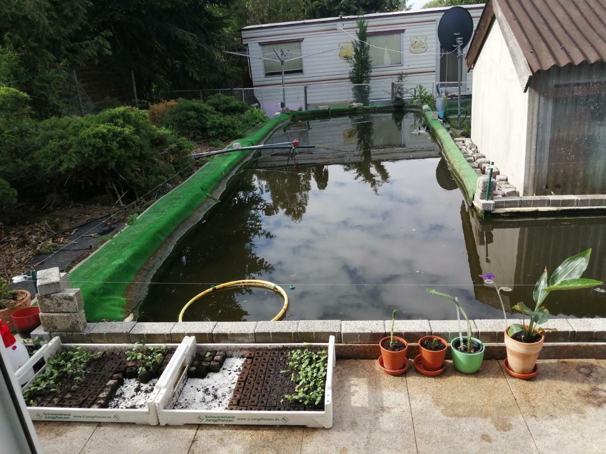 NeutrebbinKleines Haus Im Oderbruch公寓 外观 照片